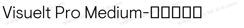 Visuelt Pro Medium字体转换